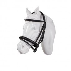 Bridle 05