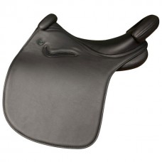 Dressage 02