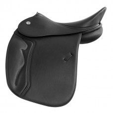 Dressage 03