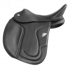 Dressage 04