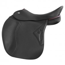Dressage 05