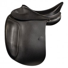 dressage 06