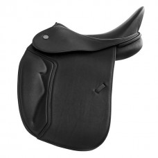 dressage 07