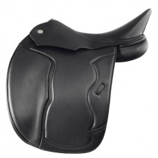 dressage 08