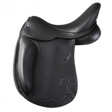 dressage 10