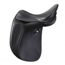 Dressage 11
