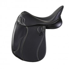 Dressage 12