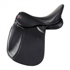 Dressage 14