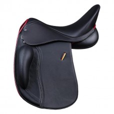 Dressage 16 