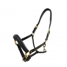 Halter 01