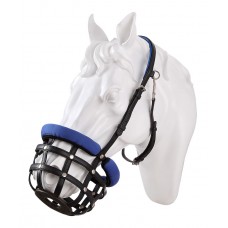 Horse Mussle 01