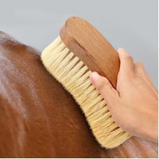 Solid wood Horse Cleaning Brush